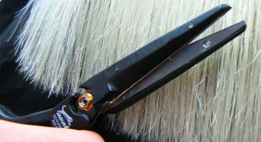 Скидки до 70% на парикмахерские услуги в салоне красоты «VIP»: мужская, женская стрижка или лечебная стрижка горячими ножницами.