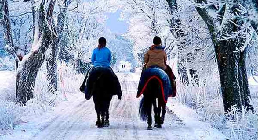 Отдых в исконно русском стиле! Конные прогулки верхом со скидкой 50% от конно-спортивного клуба «Мономах».