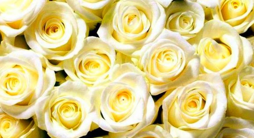 Клубничное счастье! Подарочное сердце из роз и клубники или букеты роз со скидкой 50% от Праздничного агенства «STUdia Design»