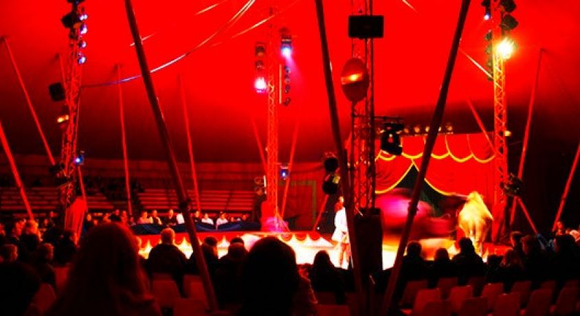 Шоу, которое нельзя пропустить! Билет на представление цирка-шапито «МАГИЯ АРЕНЫ» со скидкой 50%.