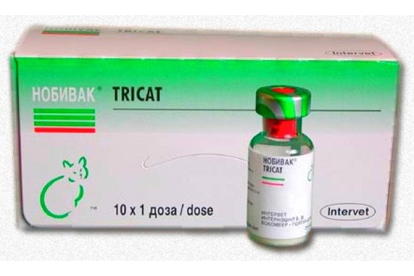 Иммунизация вакциной Нобивак  Tricat Trio- Rabies