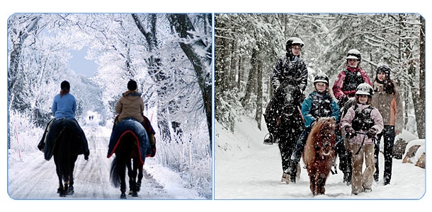 Отдых в исконно русском стиле! Конные прогулки верхом со скидкой 50% от конно-спортивного клуб «Мономах».